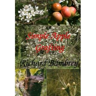 How To Plant an Apple Tree   The Beginners Guide to Apple Orchards 