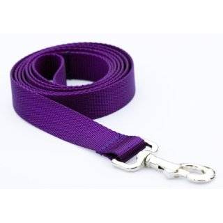  Medium Purple Nylon Webbing Dog Collar: 3/4 wide, Adjusts 