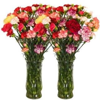 California Mini Carnations Flower Bouquet   Free Fast Shipping 