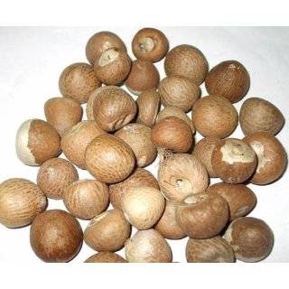 Betelnuts (Areca Nuts) Whole (Supari) 14oz  Grocery 