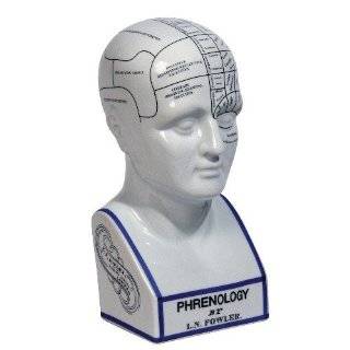 Authentic Models Porcelain Phrenology Head Bust
