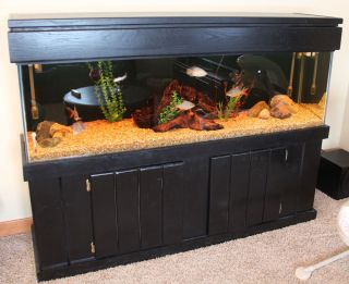 One of a Kind - Custom 85 Gallon Aquarium with Stand and Canopy