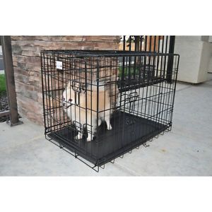 Champion 42" Folding Dog Pet Cage 3 Door Crate Kennel w Divider and Metal Tray
