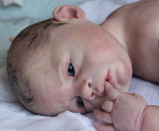 Beautiful Reborn Newborn Baby Girl Doll Lovelyn Sam's Reborn Nursery