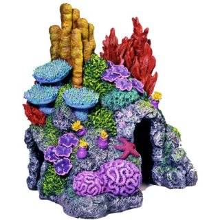  Exotic Environments Stick Up Aquarium Ornament with suction cup 